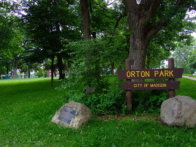 Put yourself in the picture: Orton Park Festival 2016
