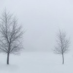 Snow mist