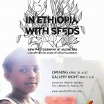 Seeds of Africa gallery opening flyer