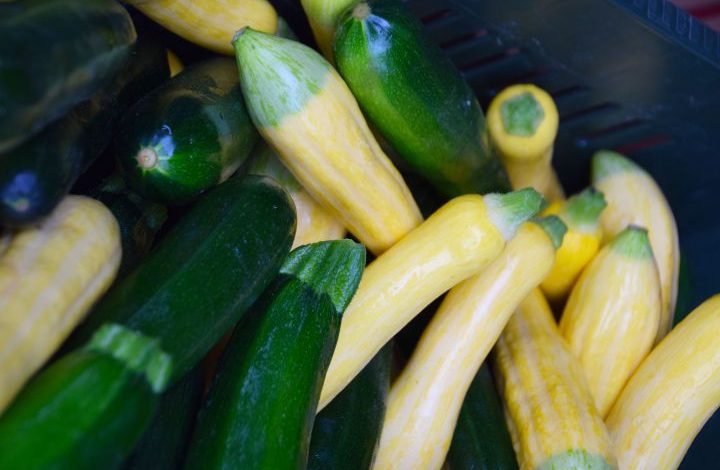 Close up zucchini