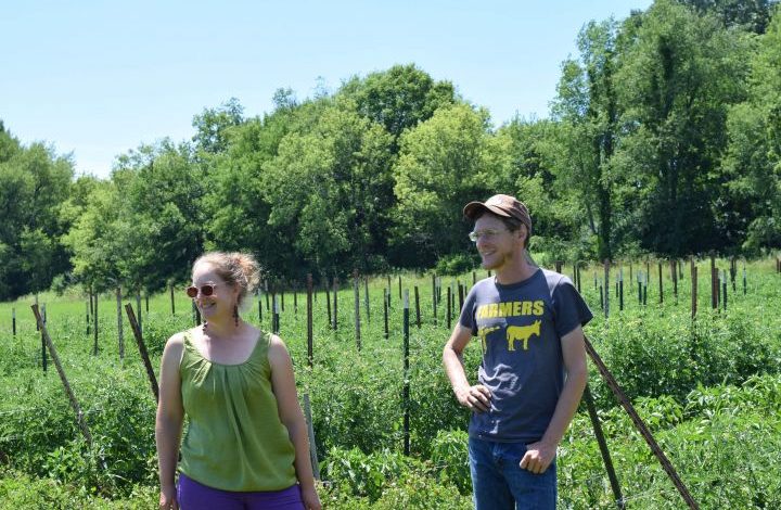 Anne Drefahl and Dennis Fiser standing in tomato field