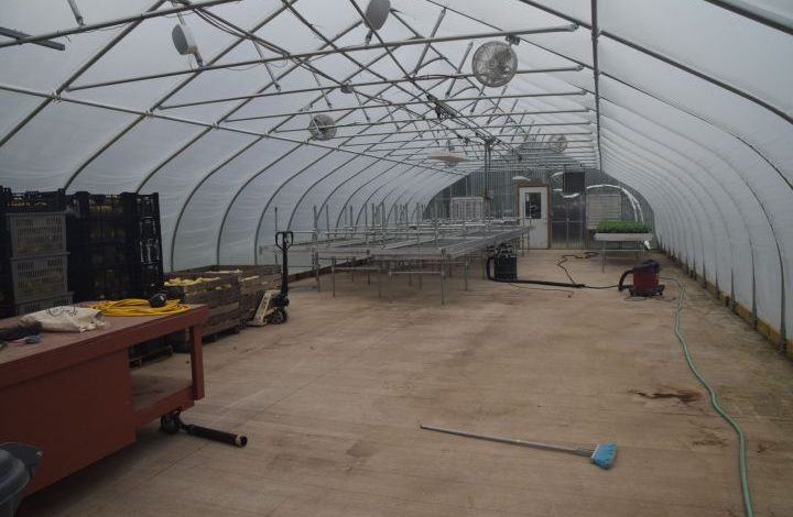 Inside of an empty greenhouse