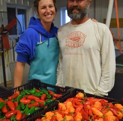 Cate and Mat Eddy in front of a bin of peppers