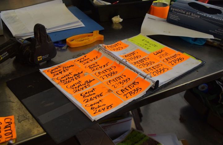 Orange stickers in a notebook with the word carrot and numbers written on it.