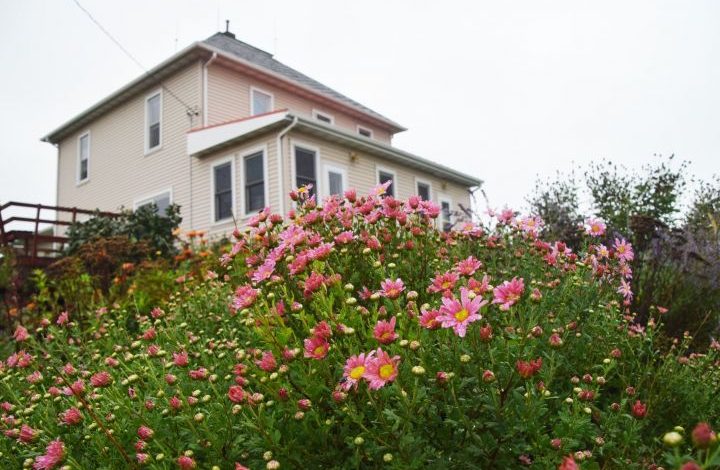 Farmhouse with pink mums growing in front