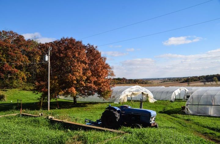 Farm scape with hoop houses  and blue tractor