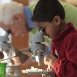 Photo of youth scientist peering into a microscope from wisconsinsciencefest.org