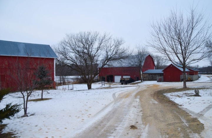Snowy barnyard