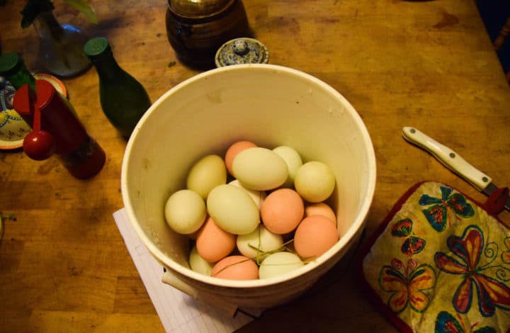 Bucket of beautiful colored eggs