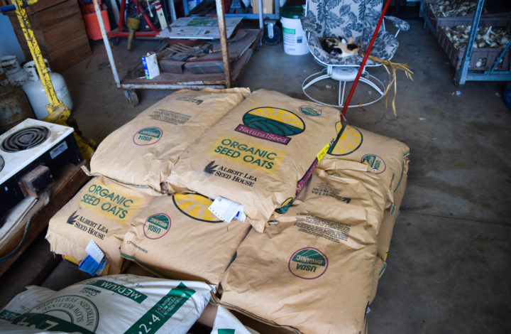 Bags of organic seed oats